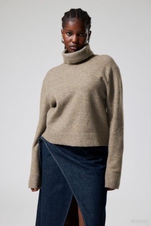 Weekday Ayla Knitted Turtleneck Dark Mole | ZJRF3295