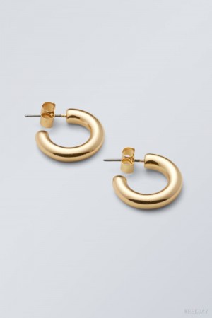 Weekday Bold Hoops Golden | VNFQ1078