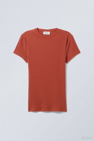 Weekday Close Fitted Rib T-Shirt Dark Orange | LOFW8594