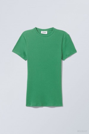 Weekday Close Fitted Rib T-Shirt Turquoise Green | CDGR8473