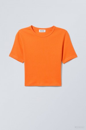 Weekday Mini Rib Crop Top Orange | QHGJ8757