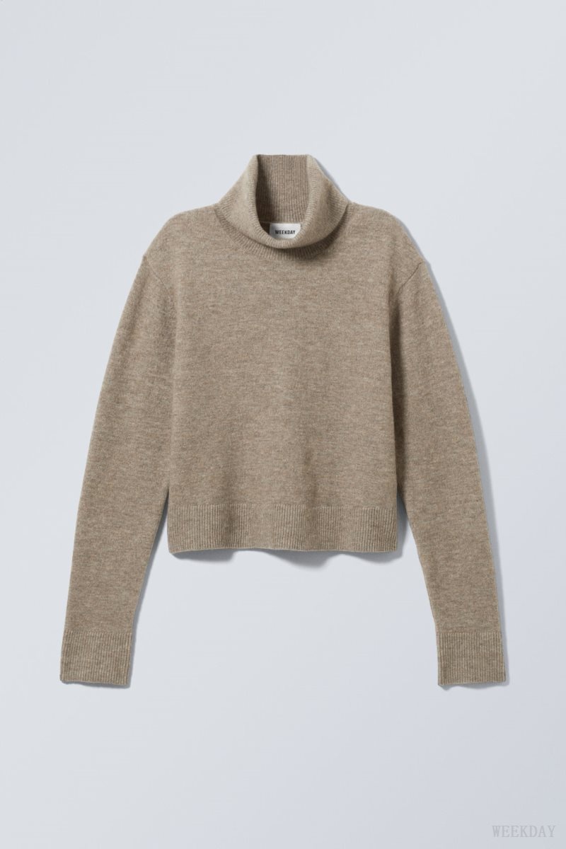 Weekday Ayla Knitted Turtleneck Dark Mole | ZJRF3295