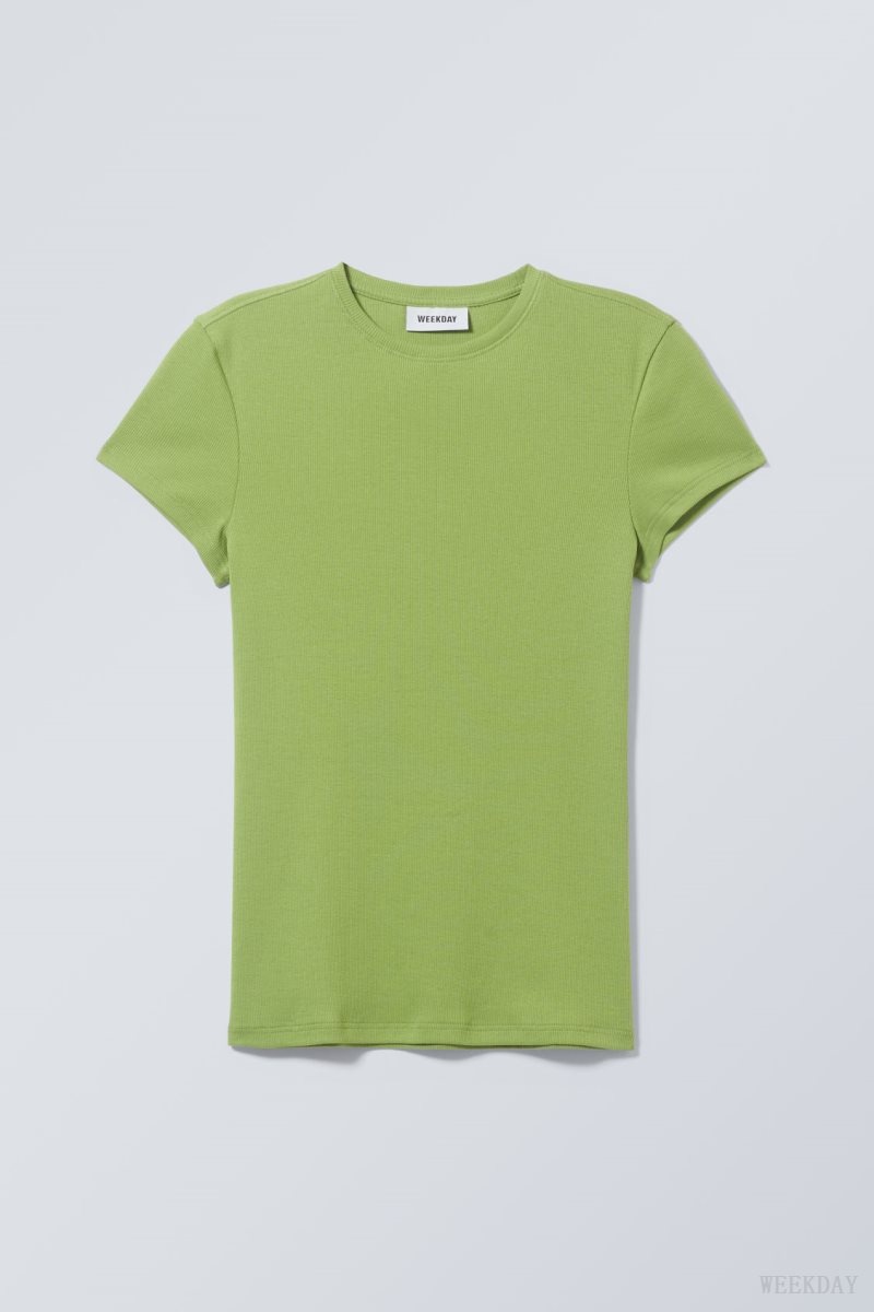 Weekday Close Fitted Rib T-Shirt Green | GLUJ7445