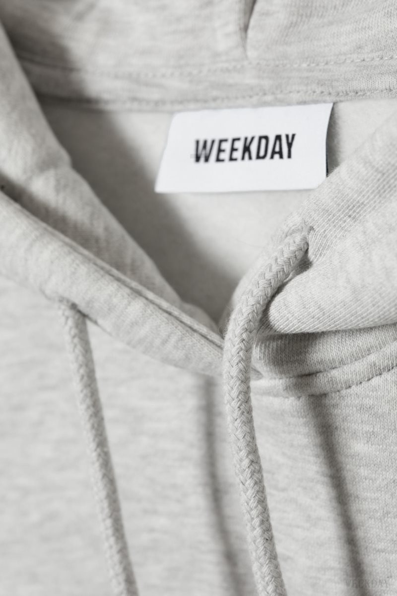 Weekday Relaxed Heavy Hoodie Grey | GTSK7071