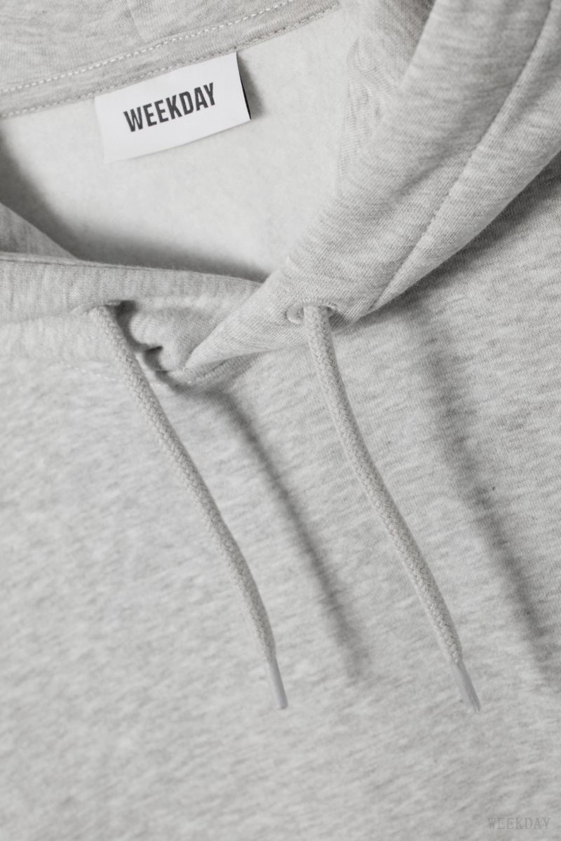 Weekday Standard Midweight Hoodie Grey | OBPN6299