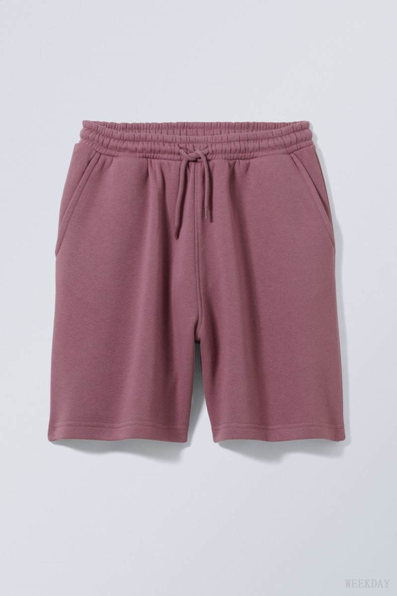 Weekday Standard Sweatshorts Purple | TOKY0836